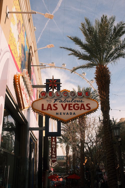 台灣熱門娛樂平台推薦與特色解析