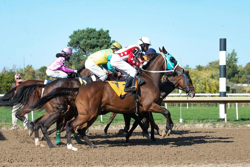 台灣旗艦線上娛樂ace88 玩家必看指南